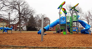Photo of Doyle Thomas Park playground